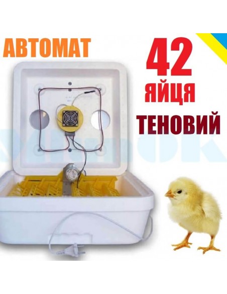 Інкубатор Веселе сімейство-2ВПT (автоматичний, 42 яйця, теновий) - фото