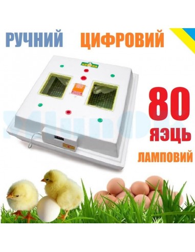 Инкубатор Квочка МИ-30-1 (ручной, 80 яиц, цифровой регулятор, ламповый) - фото 1