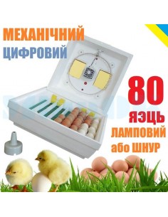 Інкубатор Квочка МІ-30-1-ЕТ (механічний, 80 яєць, цифровий регулятор, ТЕН, вентилятор) - фото 2
