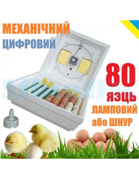 Інкубатор Квочка МІ-30-1-ЕТ (механічний, 80 яєць, цифровий регулятор, ТЕН, вентилятор) - фото